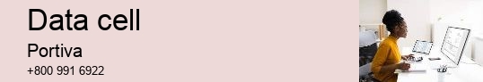 data cell